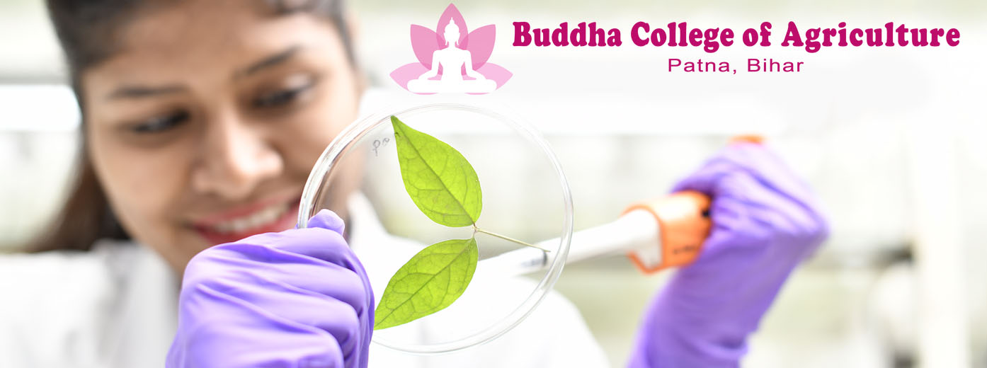 Buddha College of Agriculture,Patna,Bihar